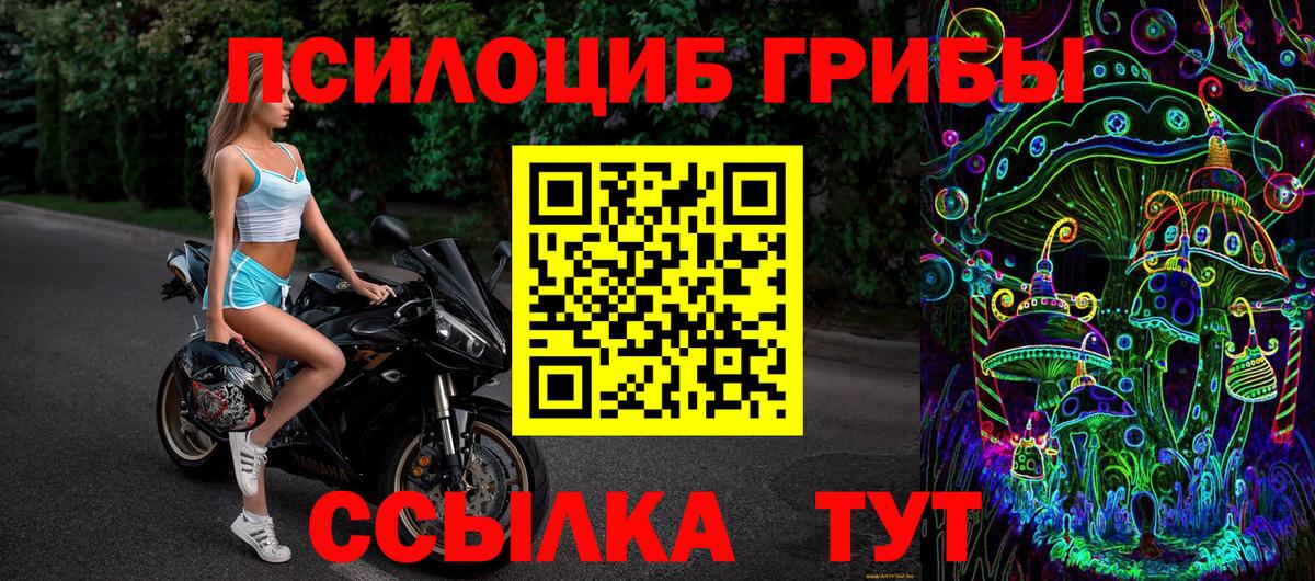 Псилоцибиновые грибы MAGIC MUSHROOMS  где можно купить   Вход с VPN  Лениногорск  Псилоцибиновые грибы Psilocybine cubensis 