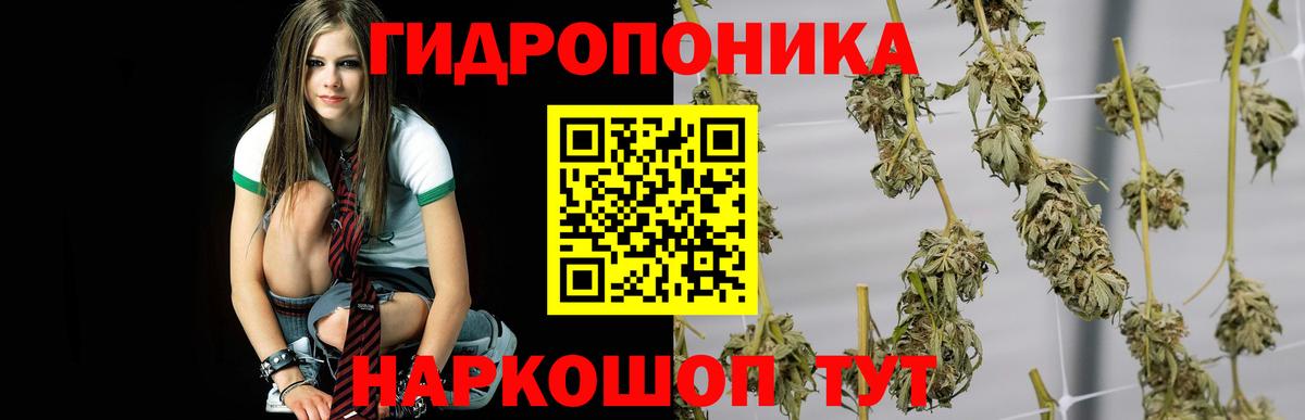 Шишки марихуана план  Вход с VPN  Каннабис AK-47  Лениногорск 